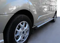 Ford Connect 2010-2013 гг. Боковые Подножки DOT-Line (2 шт., Алюминий) фото 1
