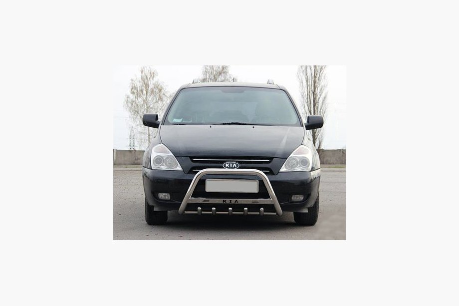 Кенгурятник WT004 Нержавейка Image