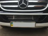 Mercedes Sprinter W906 2006–2018 гг. Решетка бампера (нержавейка) фото 2
