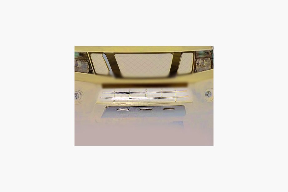 Nissan Navara 2006-2015 гг. Решетка бампера (нержавейка) Фото 1