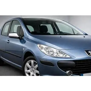 Накладки на Зеркала (2 шт, Пластик) Peugeot 307 2001-2008 гг. фото 1