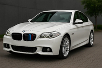 BMW 5 серия F10/F11 2010–2016 гг. Вставки в решетку радиатора 2010-2013 (3 шт) фото 1