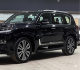 Lexus LX 500d/600 2022- гг. Черные молдинги на двери F-Sport белый+черный (4 шт, ABS) фото 4