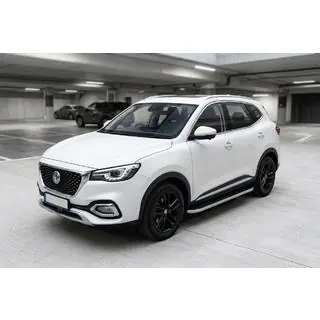 Боковые Подножки Tayga Grey (2 шт., Алюминий) фото 1