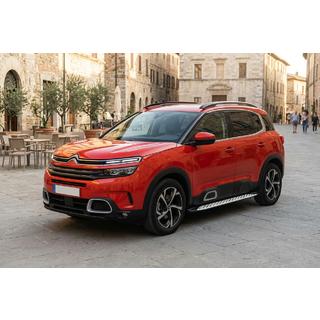 Боковые Подножки Shining V1 (2 шт., Алюминий) Citroen C5 Aircross 2017-2025 гг. фото 1