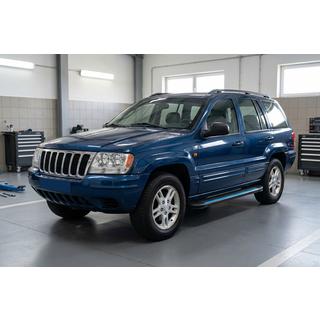 Боковые Подножки Maya Blue (2 шт., Алюминий) Jeep Grand Cherokee WJ 1999-2004 гг. фото 1