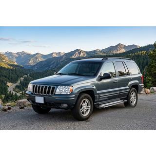 Боковые Подножки Rainbow (2 шт., Алюминий) Jeep Grand Cherokee WJ 1999-2004 гг. фото 1