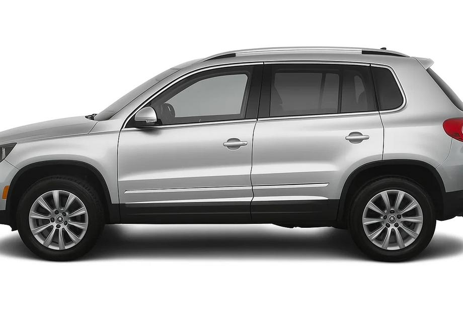 Volkswagen Tiguan 2007-2016 гг. Молдинги на двери Нержавеющая сталь (4 шт) Image