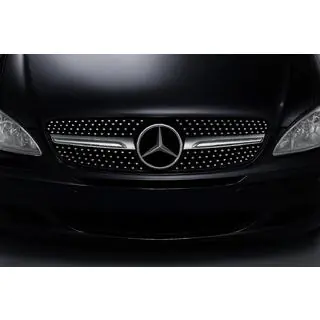 Передняя решетка Diamond Silver (2004-2010) Mercedes Vito W639 2004-2014 гг. фото 2