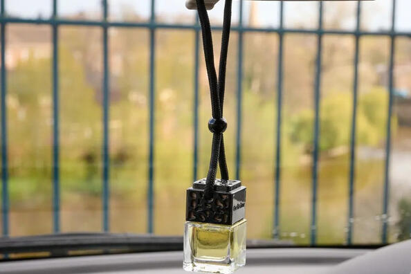 Как выбрать аромат в салон авто, который не будет раздражать? фото 1
