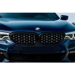 Ноздри Diamond Silver V1 (2017-2020, черная окантовка) BMW 5 серия G30/G31 2017–2023 гг. фото 1