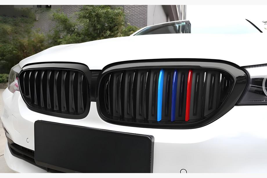 BMW 5 серия G30/G31 2017–2023 гг. Ноздри 1 Полоса (2017-2020, M-Color) Image