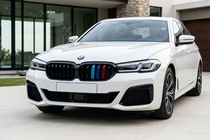 BMW 5 серия G30/G31 2017–2023 гг. Решетки M-Look V1 (2021+, M-Color) фото 1
