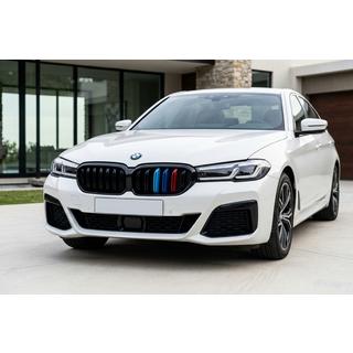 Решетки M-Look V1 (2021+, M-Color) BMW 5 серия G30/G31 2017–2023 гг. фото 1