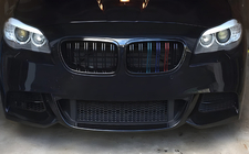 Решетки радиатора M-Look (M-Color) фото 1