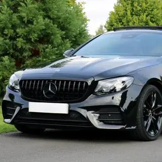 Передняя Решетка GT Panamericana Черная (для Avantgarde/AMG-Line/E43 AMG/E53 AMG 2016-2020) фото 1