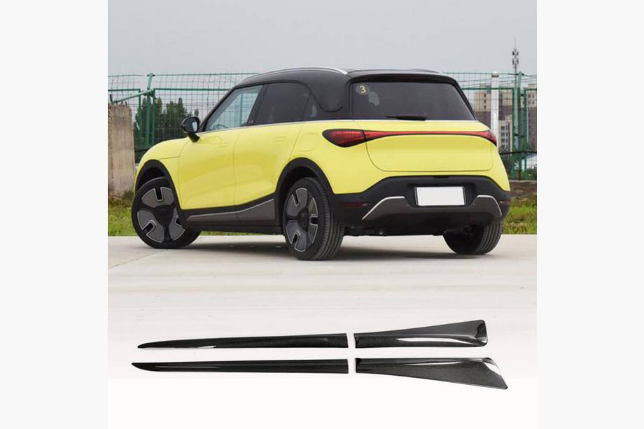 Smart 1 2022- гг. Боковые пороги (Карбон) Image