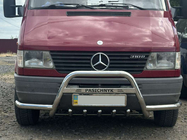 Mercedes Sprinter W901/902/903/904/905 1995–2006 гг. Кенгурятник Exclusive (нерж. сталь) фото 5