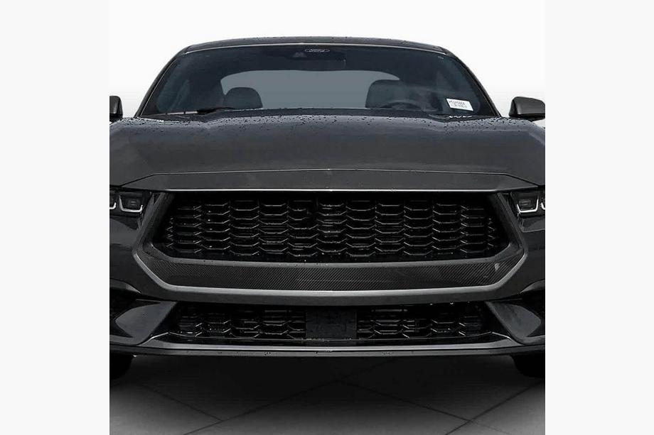 Ford Mustang 2024- гг. Решетка радиатора (для S650, Карбон) Фото 2
