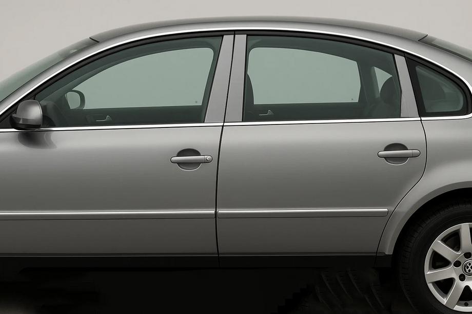Volkswagen Passat B5 1997-2005 гг. Накладки на дверные стойки из нержавеющей стали (6 шт) Image