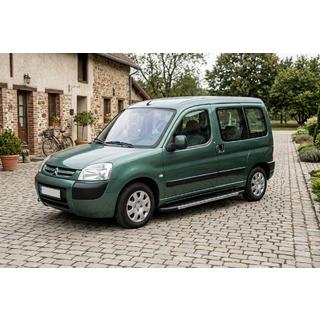 Боковые Подножки Duru (2 шт., Алюминий) Citroen Berlingo 1996-2008 гг. фото 1