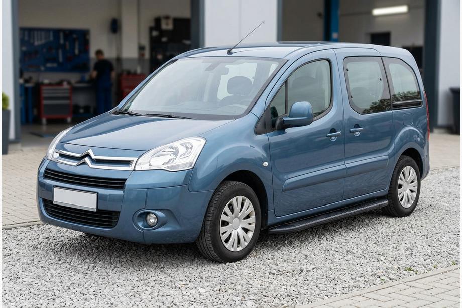 Citroen Berlingo 2008-2018 гг. Боковые пороги Bosphorus Black (2 шт., алюминий) Image