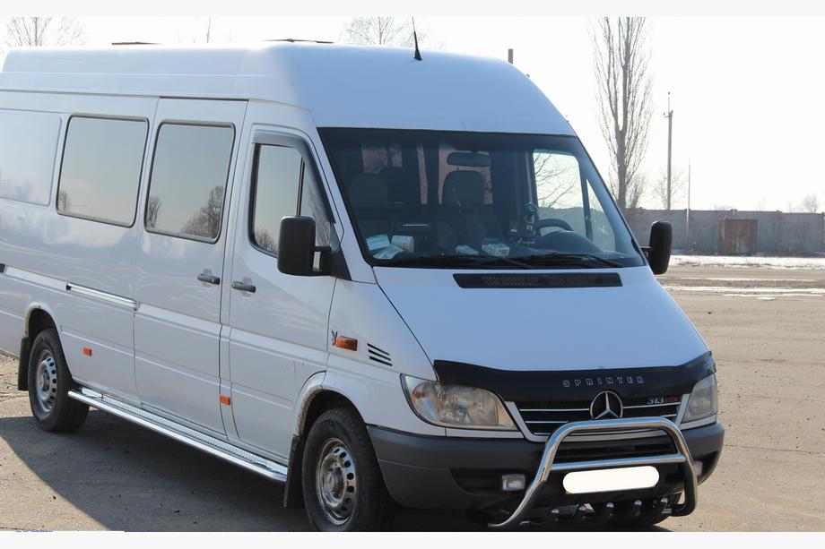 Mercedes Sprinter W901/902/903/904/905 1995–2006 гг. Кенгурятник WT003 (нержавейка) Фото 3