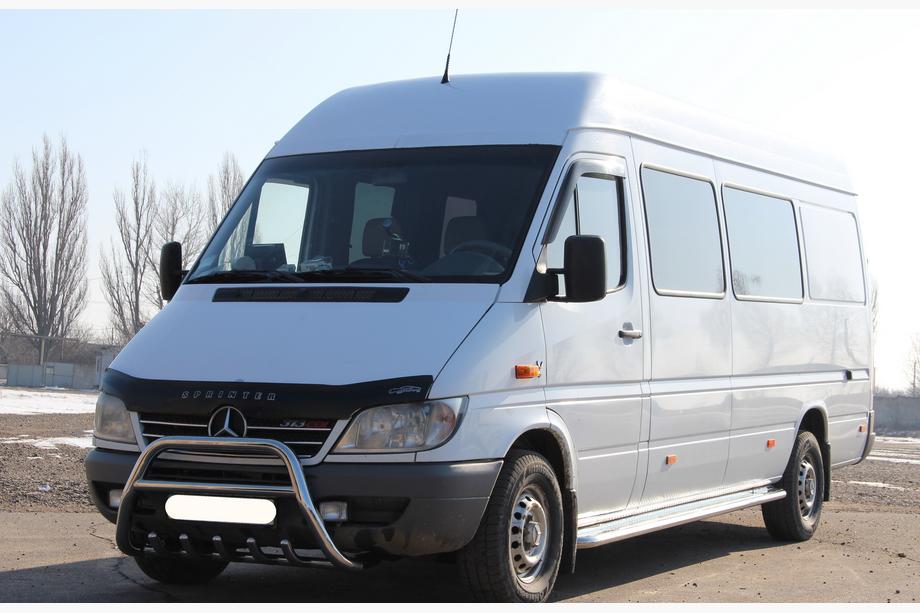 Mercedes Sprinter W901/902/903/904/905 1995–2006 гг. Кенгурятник WT003 (нержавейка) Фото 4