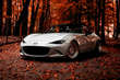 Осенний уход за автомобилем: 5 важных правил фото 1