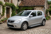 Renault Sandero 2007-2013 гг. Боковые Подножки Rainbow (2 шт., Алюминий) фото 1