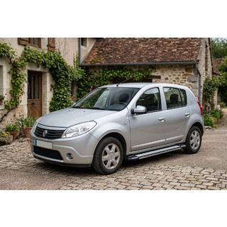 Боковые Подножки Rainbow (2 шт., Алюминий) фото 1
