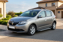 Dacia Sandero 2013-2020 гг. Боковые пороги RedLine V1 (2 шт., алюминий) фото 1