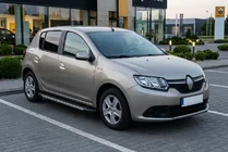 Dacia Sandero 2013-2020 гг. Боковые Подножки Duru (2 шт., Алюминий) фото 1