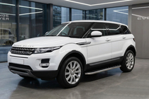 Range Rover Evoque 2012-2018 гг. Боковые Подножки Maydos V1 (2 шт., Алюминий и Нержавейка) фото 1