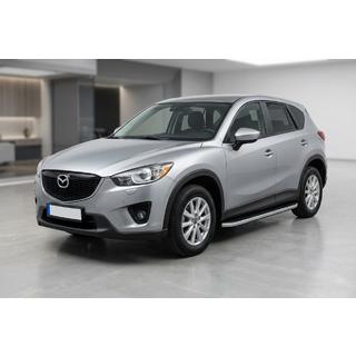 Боковые Подножки Tayga Grey (2 шт., Алюминий) фото 1