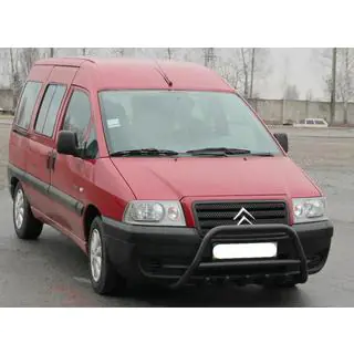 Кенгурятник WT003 Черный Нержавейка фото 1