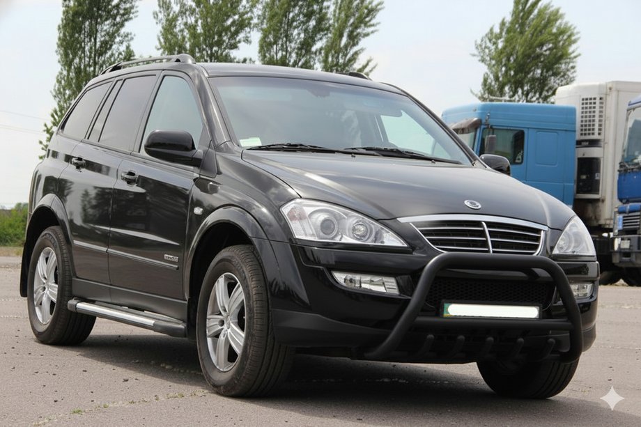 SsangYong Action 2005-2018 гг. Кенгурятник WT003 Черный Нержавейка Image