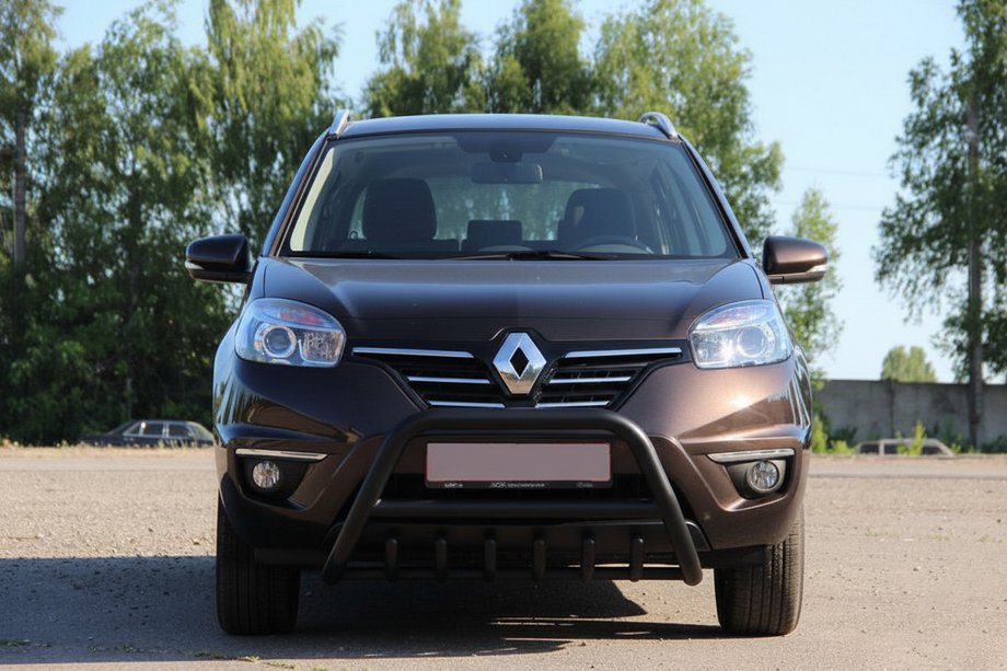 Renault Koleos 2008-2016 гг. Кенгурятник WT003 Черный (Нержавеющая сталь) Фото 8