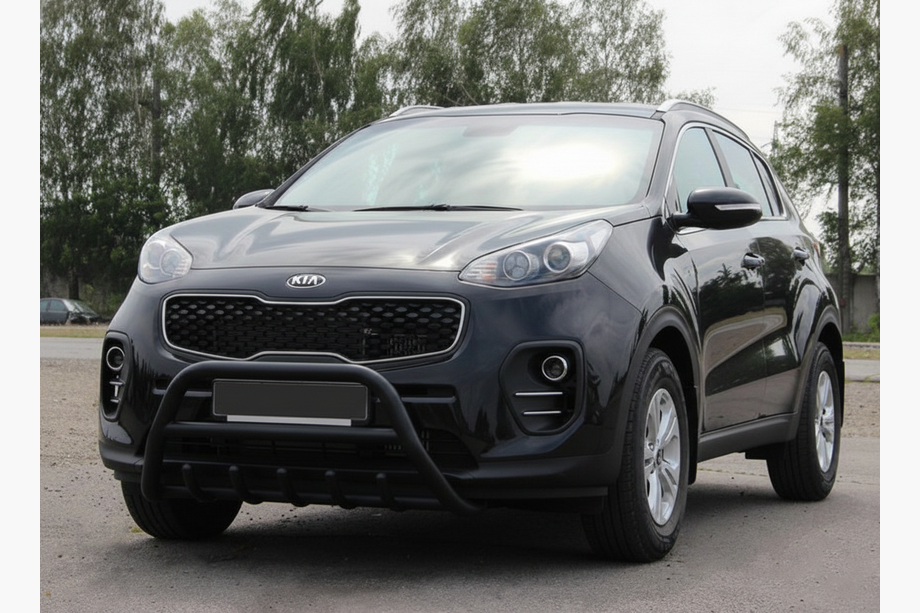 Кенгурятник WT003 Черный Нержавейка Image