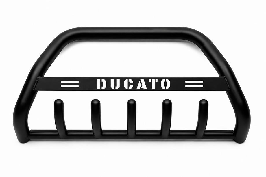 Fiat Ducato 1995-2006 гг. Кенгурятник WT004 Черный (Нержавейка) Image