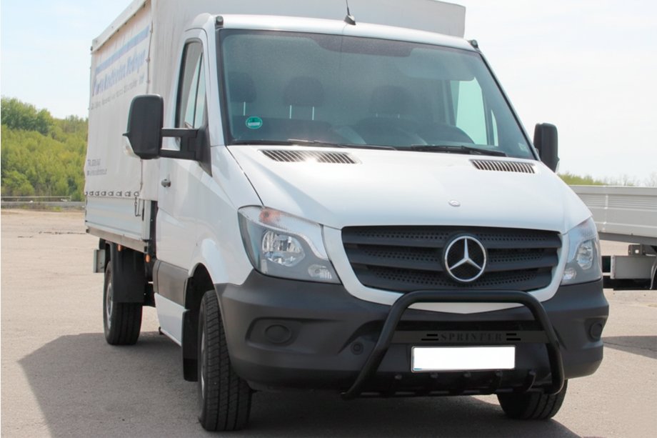 Mercedes Sprinter W906 2006–2018 гг. Кенгурятник WT004 (черный) Image