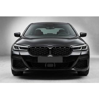 Ноздри Diamond Black (2021-2023) фото 1