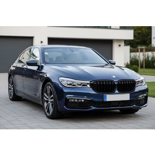 Решетки M-Look (2016-2019, Черный Глянец) BMW 7 серия G11/G12 2015-2022 гг. фото 1