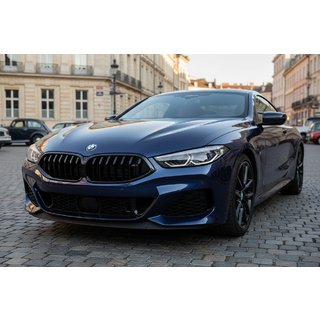 Решетка радиатора 1-Bar (2018-2022, Черный глянец) BMW 8 серия G14/G15/G16 2018- гг. фото 1