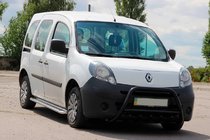Mercedes Citan 2013-2021 гг. Кенгурятник WT003 Black (нерж) фото 3