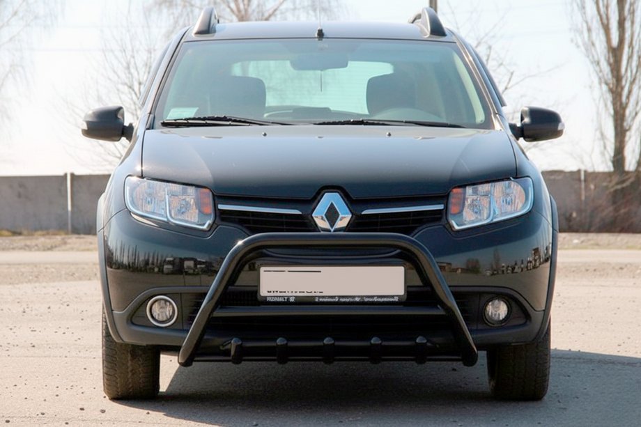 Renault Sandero 2013-2022 гг. Кенгурятник WT003 Black (нерж) Фото 2