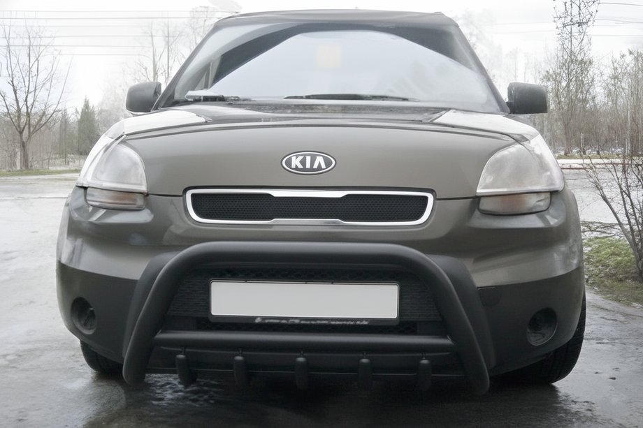 Kia Soul I 2008-2013 гг. Кенгурятник WT003 Black (нерж) Image