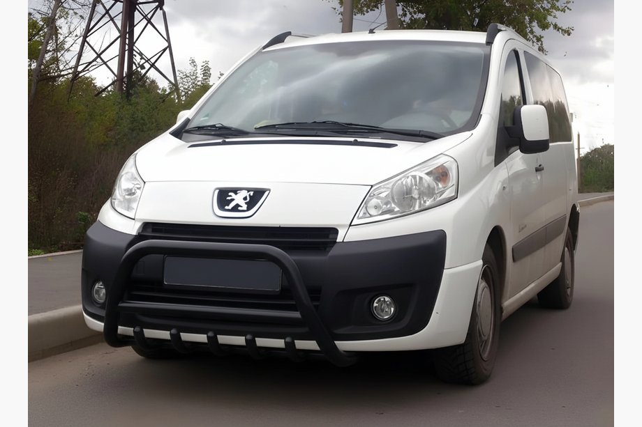 Peugeot Expert 2007-2016 гг. Кенгурятник WT003 Black (нерж) Image