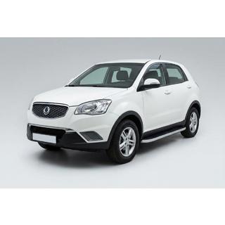 Боковые Подножки Tayga Grey (2 шт., Алюминий) фото 1