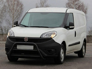 Fiat Doblo II 2010-2022 гг. Кенгурятник WT022 Black (нерж) фото 2